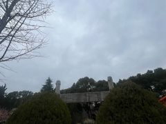 -紫金山天文台