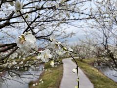 -花开海上生态园