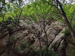 -大岭沟猕猴桃谷风景区