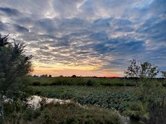 -泗洪洪泽湖湿地景区