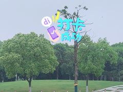 -天乐农家鱼头王(天目湖店)