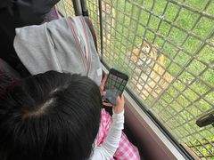 -贵州森林野生动物园