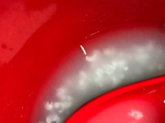 -光明刘冰乳鸽店(光明法政北路店)