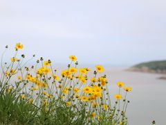 -舟山嵊泗列岛风景名胜区