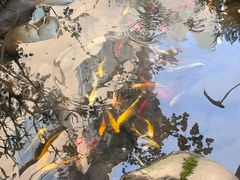 -绣园·茶食宴(湘绣博物馆店)