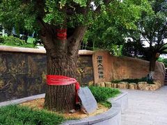 -石老人观光园