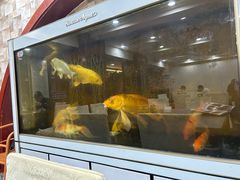 -马家烧麦(总店)