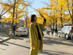 -三里屯东五街银杏大道