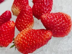 -庆和楼(北师大店)