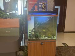 -华夏良子·足道SPA艾灸(开源店)