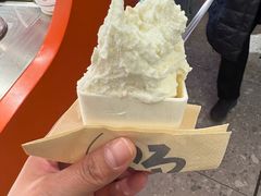 -野人先生现做冰淇淋(北京王府井东方新天地店)