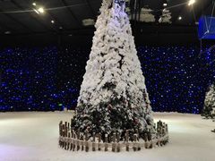 -宁波冰雪大世界(北仑区)