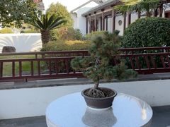 -苏州吴宫泛太平洋酒店