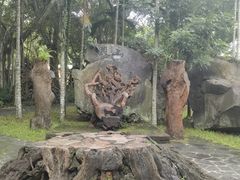 -海口火山口国家地质公园