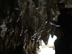 -怀托摩萤火虫洞