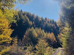 -苏木山森林公园