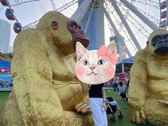 -香港海事博物馆