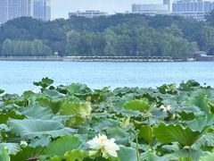 -济南大明湖景区
