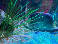 -沈阳海洋探索中心