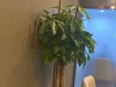 -爱康国宾体检中心(顺平分院)