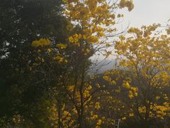-广州市白云山风景名胜区