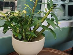 -南堂馆·新川菜(春熙路店)