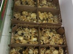 -长申超市(美食城店)