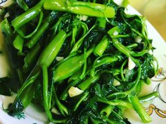 炝炒空心菜-陈有良尖椒鸡(江津总店)