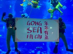 -圣淘沙名胜世界
