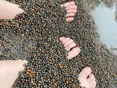 -三江森林温泉度假区