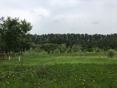 -东郊湿地公园