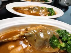 -新光酒家·河豚·海鲜·蟹料理(浦东店)