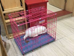 -川味王(农民街店)