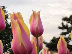 -长春公园(普阳街道)