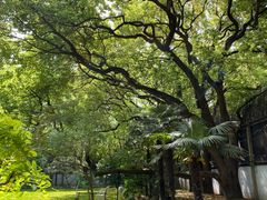 -上海宋庆龄故居纪念馆