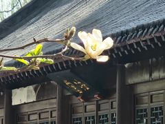 -护国法轮寺