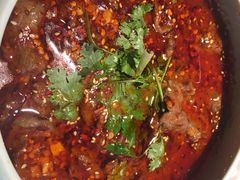 -雀蓝川菜(奥体广场店)