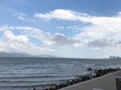 -深圳湾公园(南山区)