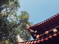 -香园自助小火锅