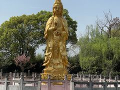 -报恩禅寺