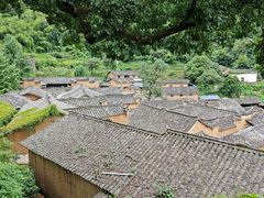 -杨家堂村