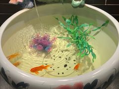 -董家湾重庆老火锅(嘉华店)