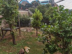 -西霞口神雕山野生动物世界