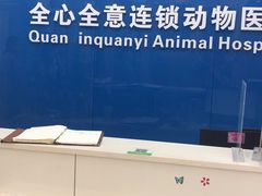 -全心全意连锁动物医院·微创中心·内科急重症·心脏专科(丰管路店)