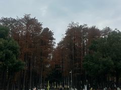 -月湖风景区