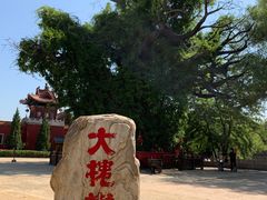 -大槐树寻根祭祖园