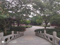 -堤角公园