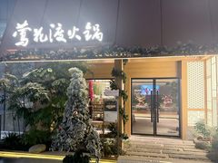 -莺花渡火锅City Green(万象城店)
