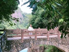 -龙湾潭国家森林公园