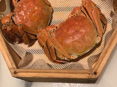 -桂满陇天书(南京德基旗舰店)